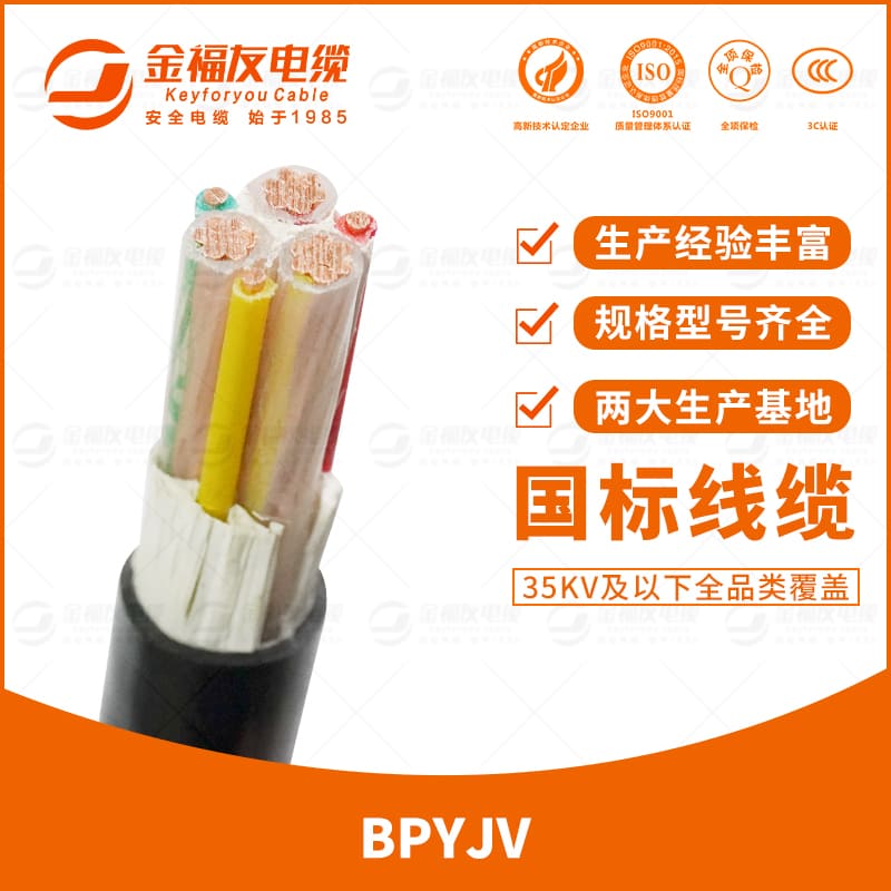 金福友產品-7.19-BPYJV