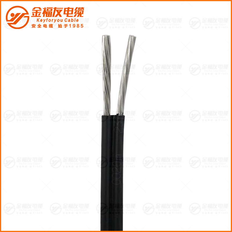 BS3-JKLYJ 2X16 BS3-JKLYJ 2X16