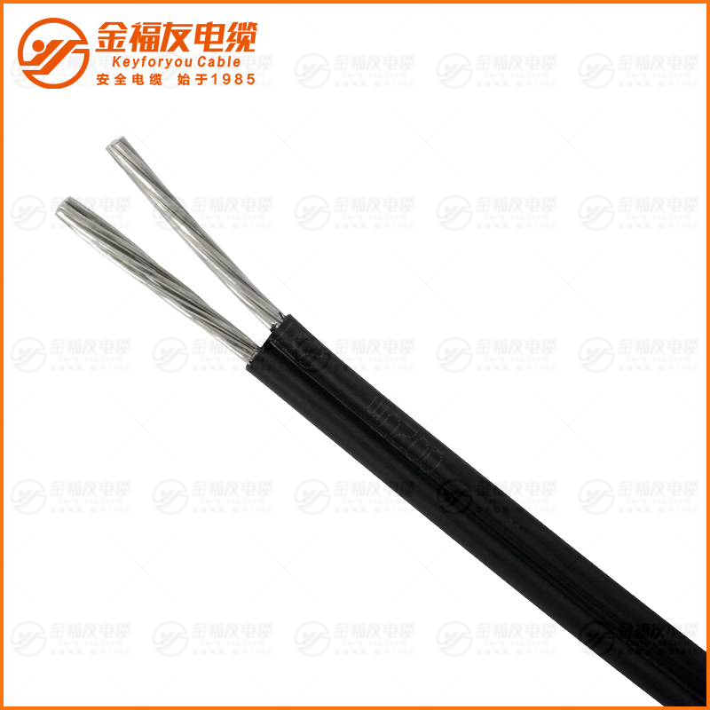 BS3-JKLYJ 2X16 BS3-JKLYJ 2X16