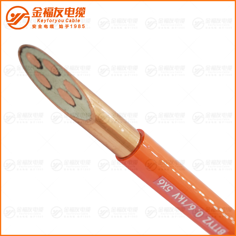 BTTYZ 0. 61kV 5X6 BTTYZ 0. 61kV 5X6