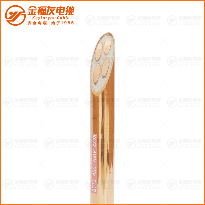 BTTZ 450 750V 4X25 BTTZ 450 750V 4X25