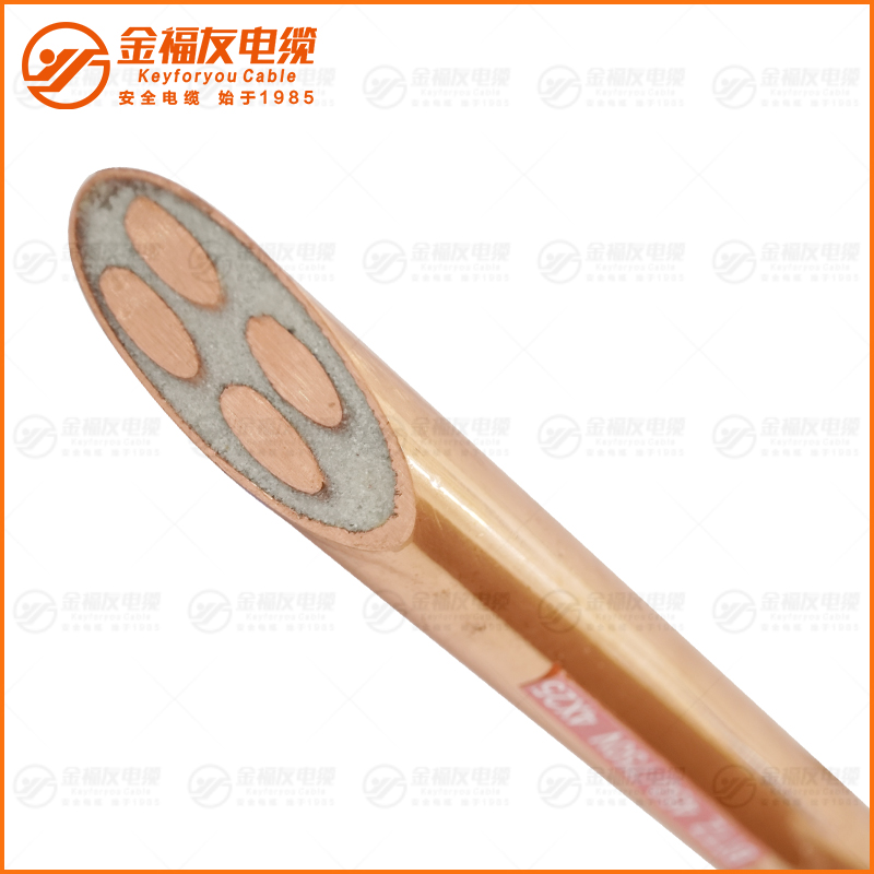 BTTZ 450 750V 4X25 BTTZ 450 750V 4X25