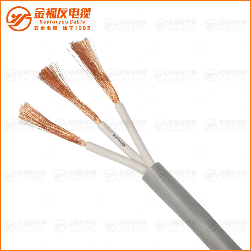 ?TRVV 300 500V 3X2.5 ?TRVV 300 500V 3X2.5