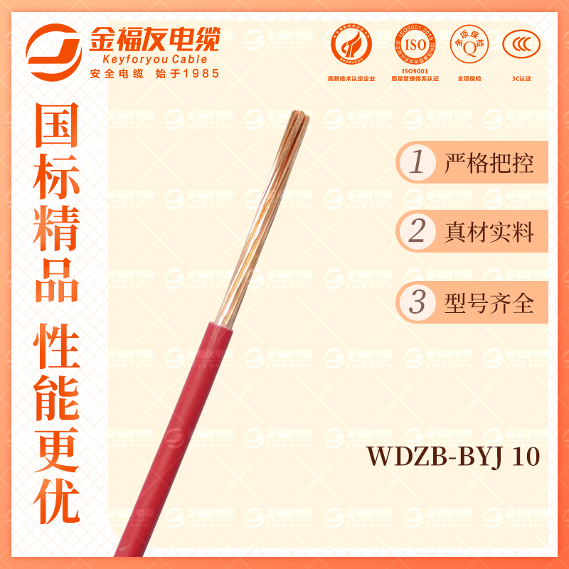 金福友產品-10.9-WDZB-BYJ-10