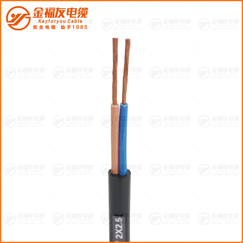 JHS防水橡套電纜 300-500V 2X2.5
