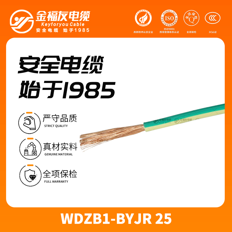 金福友產品-12.4-WDZB1-BYJR-25